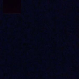 Meet your Posher, Joaquin